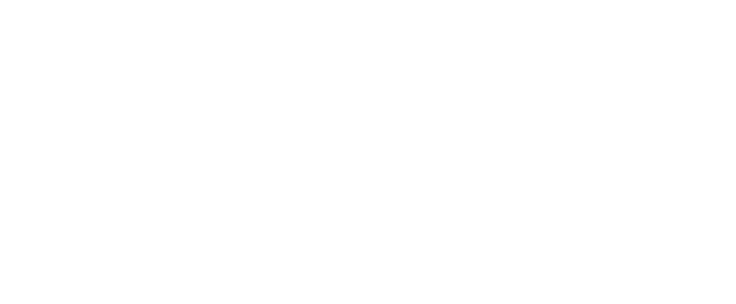 Capital Ant